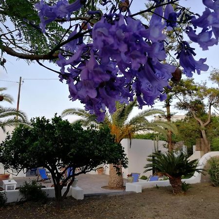Bed and Breakfast Casa Carlotta Stromboli Zewnętrze zdjęcie