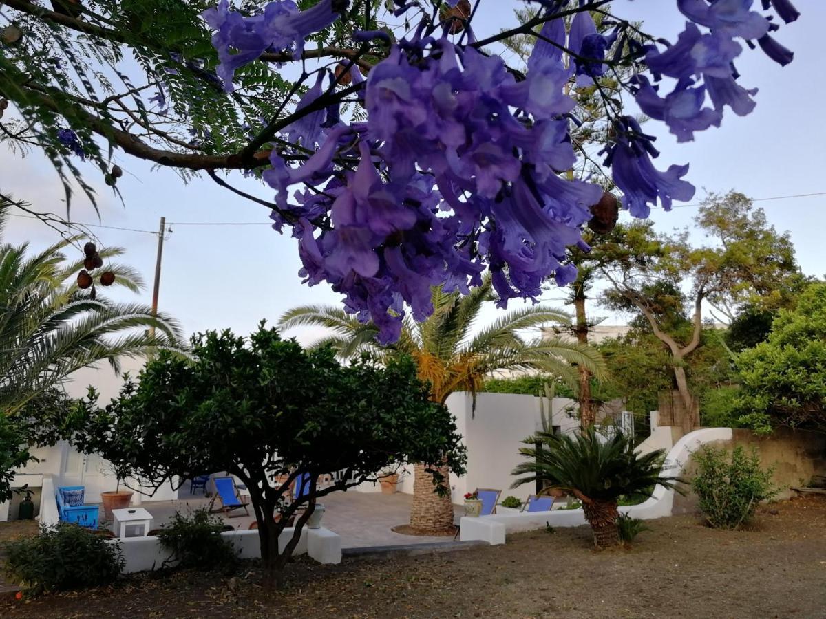 Bed and Breakfast Casa Carlotta Stromboli Zewnętrze zdjęcie